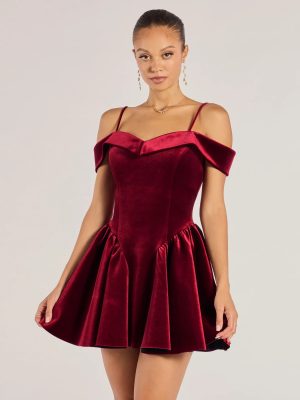 Andie Velvet Drop Waist Skater Dress