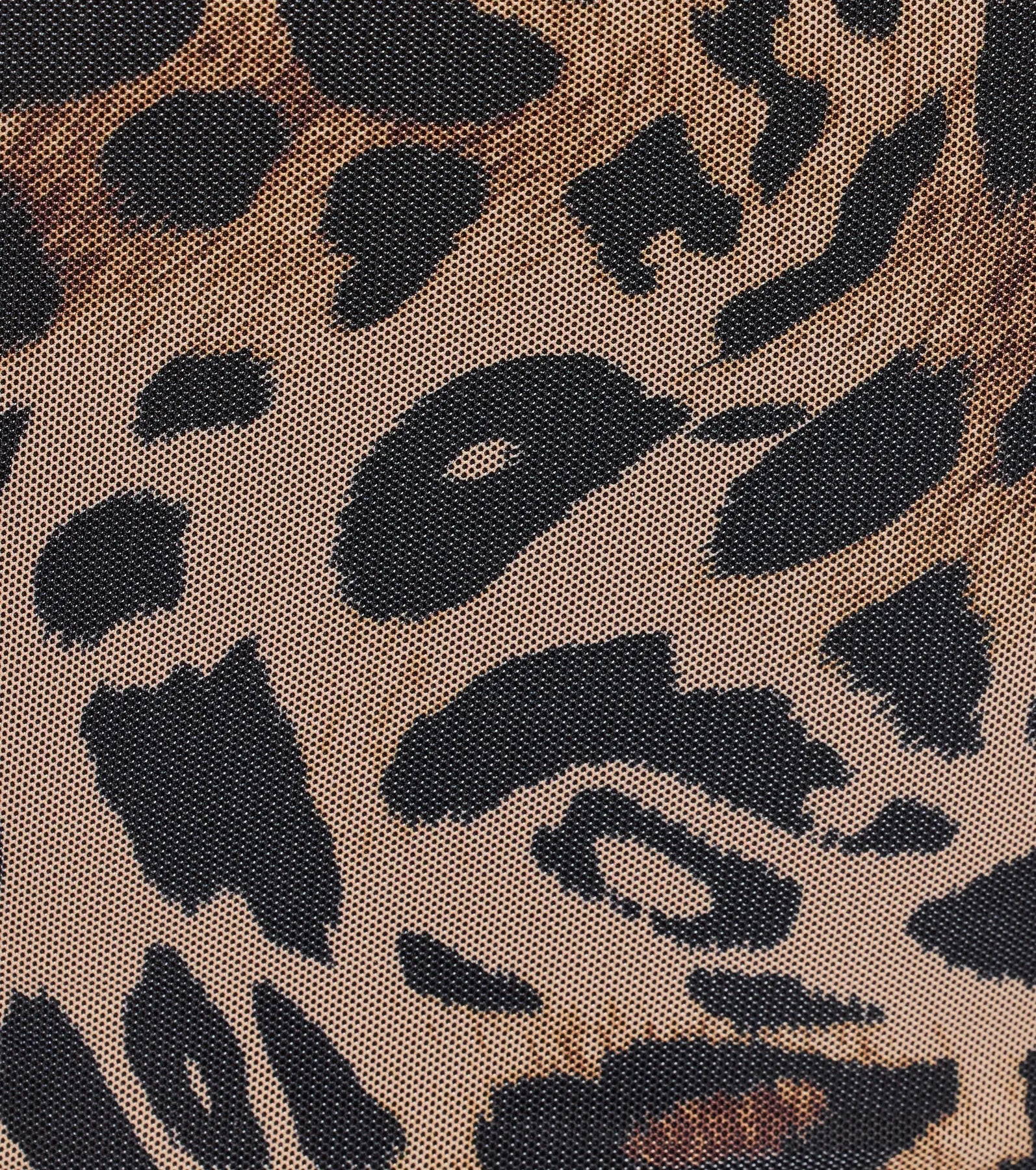 Feline Fierce Lace Trim Leopard Mesh Bustier - Image 4