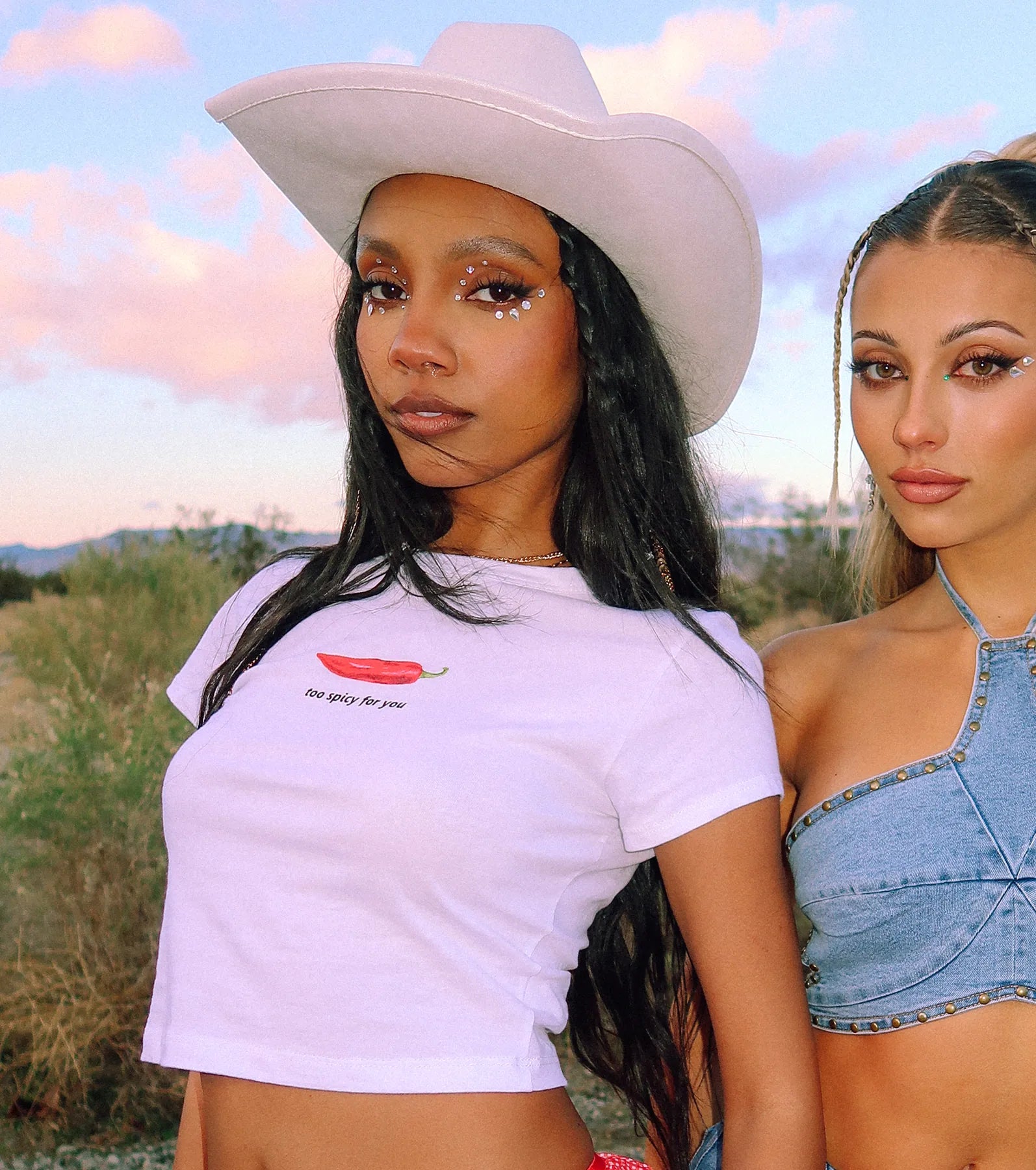 Too Spicy For You Crop Graphic Tee
