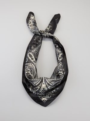 Dream On Paisley Satin Scarf